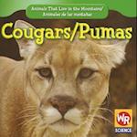 Cougars/Pumas