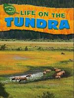 Life on the Tundra