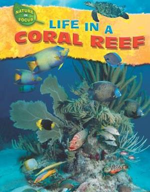 Life in a Coral Reef