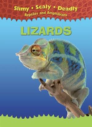 Lizards