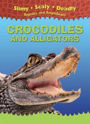 Crocodiles and Alligators