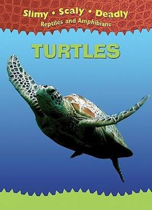 Turtles