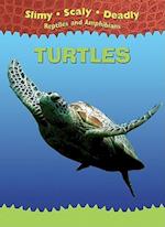 Turtles