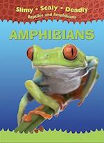 Amphibians