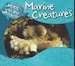 Marine Creatures
