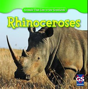 Rhinoceroses