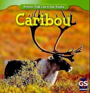 Caribou