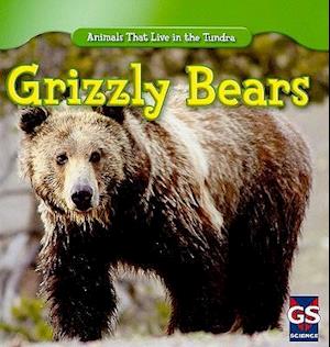 Grizzly Bears