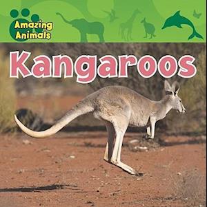 Kangaroos