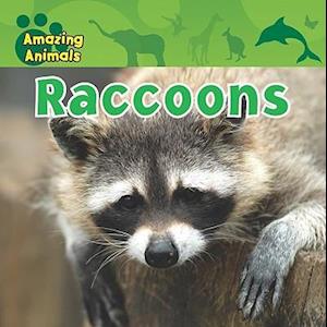 Raccoons