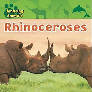 Rhinoceroses