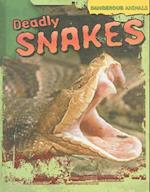 Deadly Snakes