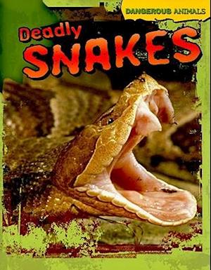 Deadly Snakes