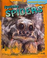 Spooky Spiders