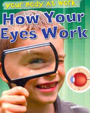 How Your Eyes Work