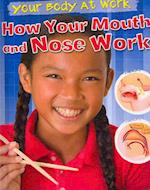 How Your Mouth and Nose Work