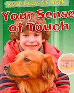 Your Sense of Touch