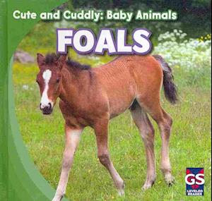 Foals