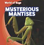 Mysterious Mantises