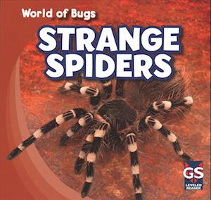 Strange Spiders