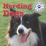 Herding Dogs