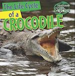 The Life Cycle of a Crocodile