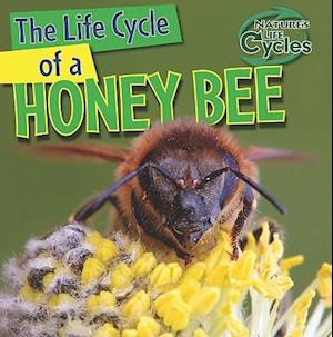 The Life Cycle of a Honeybee