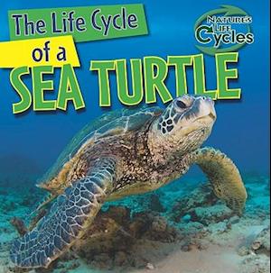 The Life Cycle of a Sea Turtle