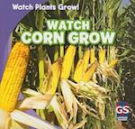 Watch Corn Grow