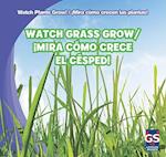 Watch Grass Grow/Mira Como Crece El Cesped!