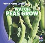 Watch Peas Grow