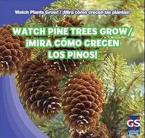 Watch Pine Trees Grow/Mira Como Crecen Los Pinos!