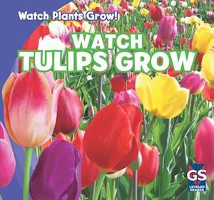 Watch Tulips Grow