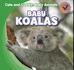 Baby Koalas