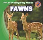 Fawns