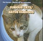 Curious Cats/Gatos Curiosos