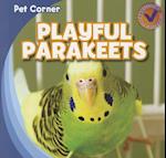 Playful Parakeets