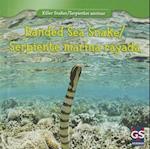 Banded Sea Snake / Serpiente Marina Rayada