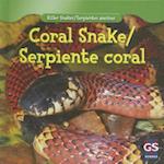 Coral Snake/Serpiente Coral