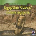 Egyptian Cobra/Cobra Egipcia