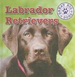 Labrador Retrievers