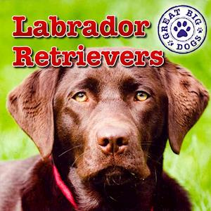 Labrador Retrievers