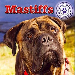 Mastiffs