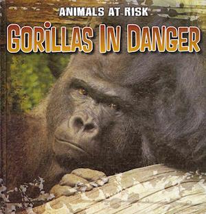 Gorillas in Danger