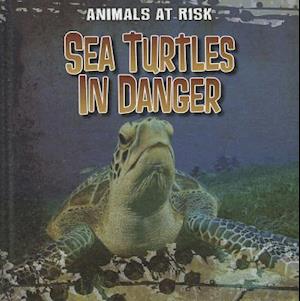 Sea Turtles in Danger