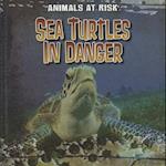 Sea Turtles in Danger