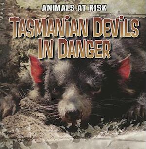 Tasmanian Devils in Danger