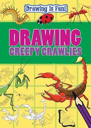 Drawing Creepy Crawlies