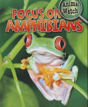 Focus on Amphibians