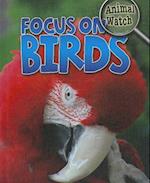 Focus on Birds